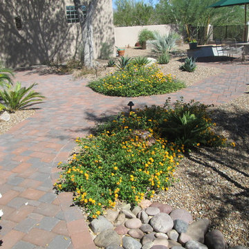 Tucson Reclaims the Turf