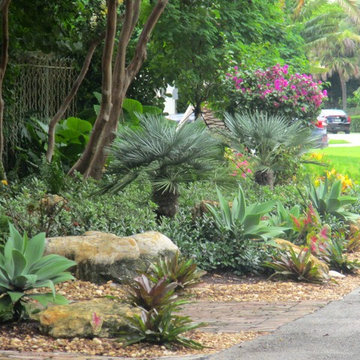 Tropical landscape planting