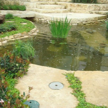 Streams and Ponds