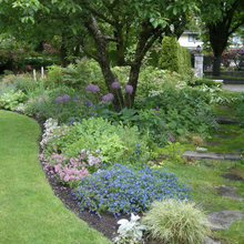 Perennials