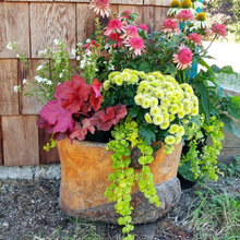 Pots