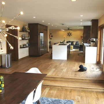 Litchfield County Mid-Century Modern Project