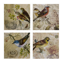 BIRDS