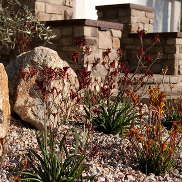 San Diego Landscapers Design Process