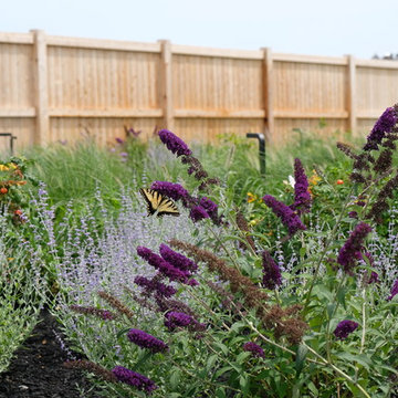 Modern Oceanfront Landscape - Cohasset