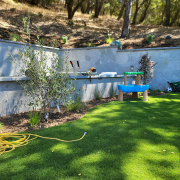 Shadow Creek Ln, Orinda | Landscaping & Fence Build