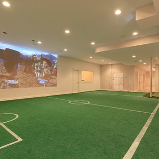 シカゴの大きいトラディショナルスタイルのおしゃれな地下室 (全地下、白い壁、緑の床) の写真