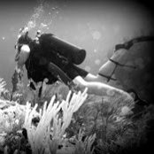 Chris Brickwood's photo