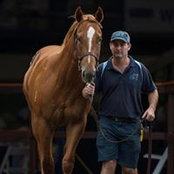 Simon Gleeson's photo