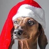 George McRobb's photo