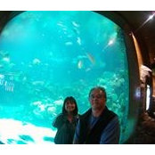 James Kobashigawa's photo