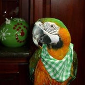 Fran Annas's photo