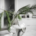 Peo Bengtsson Photographys profilbild