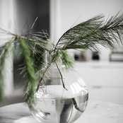 Peo Bengtsson Photographys foto