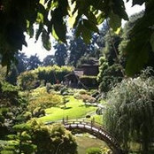 Caroline Hardeman's photo