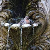 Hanlie Alberts's photo