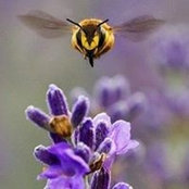 Belinda O'Keeffe's photo