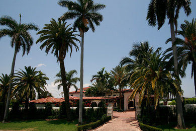 Example of a transitional exterior home design in Miami