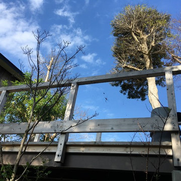 葉山ハウスその後