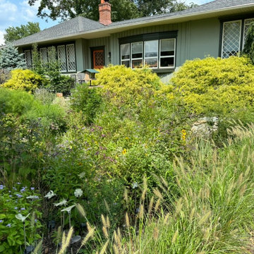 Water Management Habitat Rain Garden