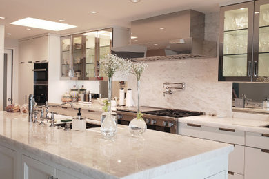 Kitchen - contemporary kitchen idea in Los Angeles