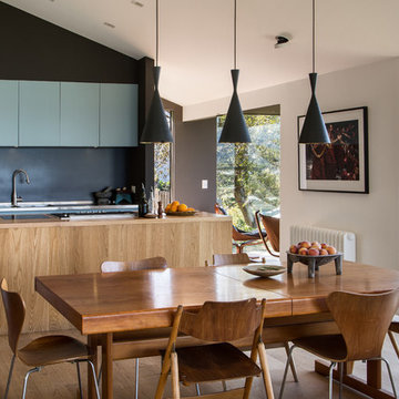 Hornsey Road ALNO Kitchen