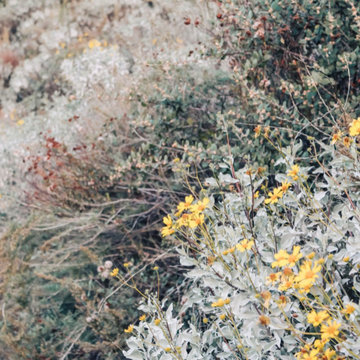 California Native Preplanned Gardens