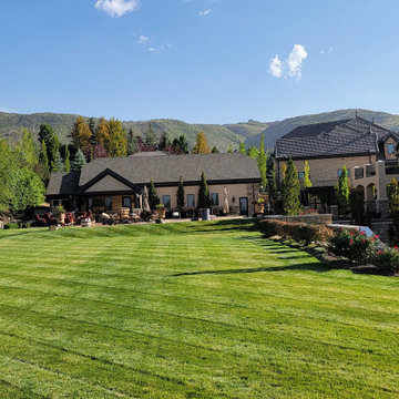 Luxe Landscape Maintenance