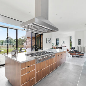 Modern Oasis