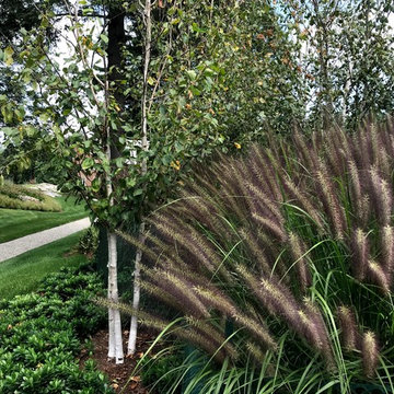 Rock Ridge