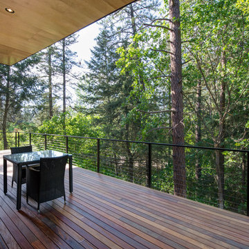 Tree House