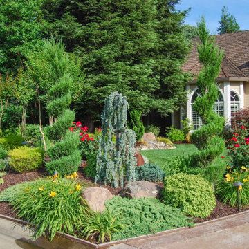 Roseville Front Yard