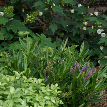 Shades of green with white and purple