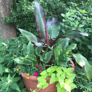 Half-Acre Garden in Towson, MD
