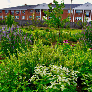 Donated Arlington Community Orchard Open To The Public