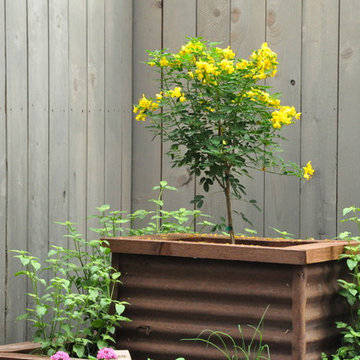 making small big in Spring Branch