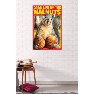 Avanti Squirrel Nuts Poster, Unframed Version