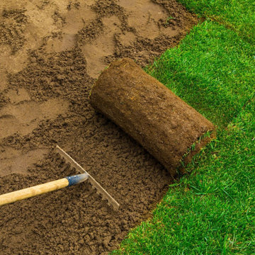 Sod Installation