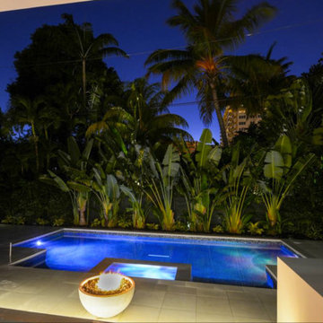 Poinciana Tropical Modern