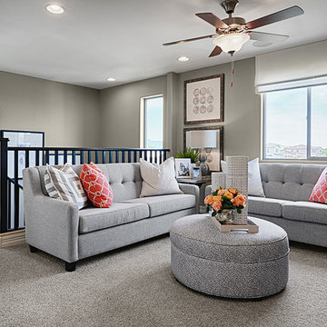 Coral model home in Arizona