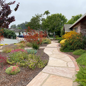 Santa Cruz lawn replacement