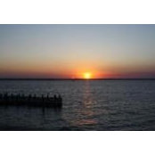 Thomas Scangarello's photo
