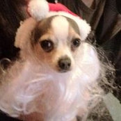 Jd Doodle's photo