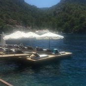 Zeynep Doğrulさんの写真
