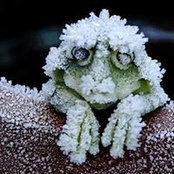Sheryl Siegel's photo