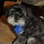 Kelli McLellan's photo