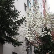 Foto von SangHun Lee