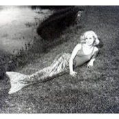 Foto von JO McCoy