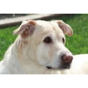 Lisa Koch's photo