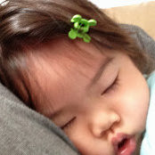 Prima Yeeさんの写真